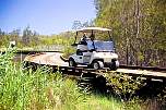 golf buggy boardwalk pelican waters.jpg